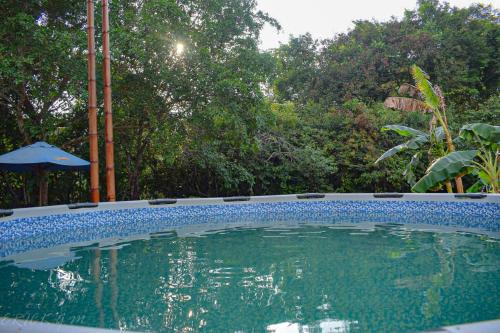 Úszómedence, Hostal Caño Nevera (Hostal Cano Nevera) in La Macarena