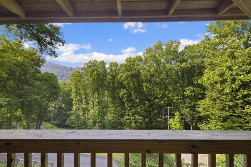 Good Dog Dreams in Valle Crucis, USA