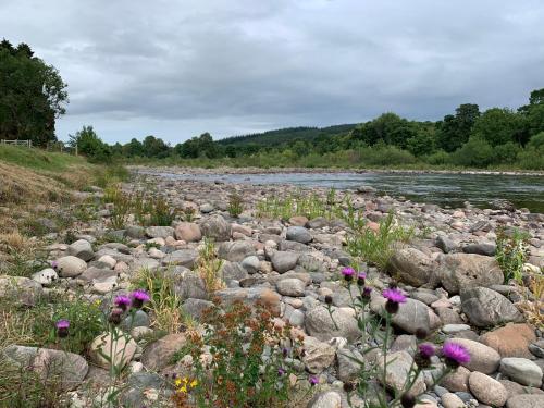 周邊環境, Oakbank - Comfort in the Glens! in 厄德錫爾