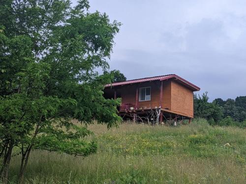 Casa Tranquila in Rotărăşti