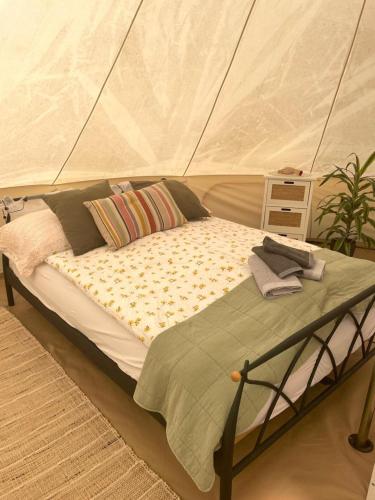 Glamping 4 Acres