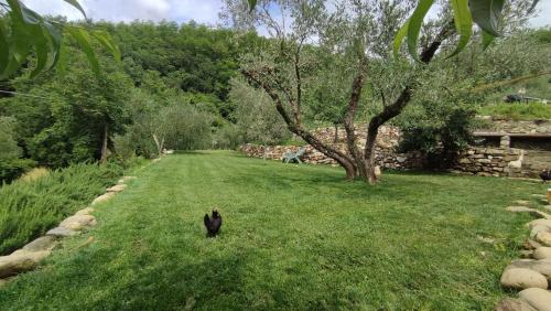 Ca Giulietto Antico Casale in Lunigiana