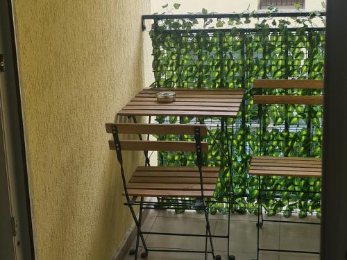 Siriului Studio in Cartierul Obor