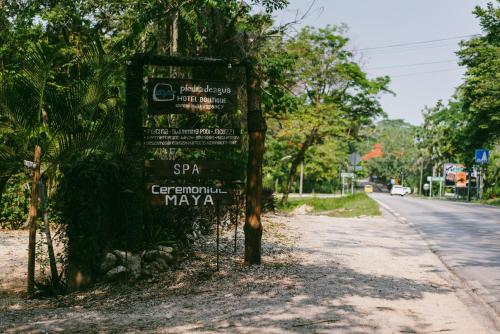 Piedra de Agua Palenque