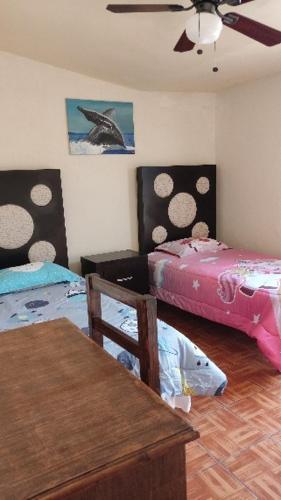 ApartADE, Saltillo