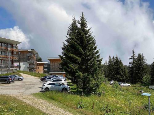 F3 aux pieds des pistes avec très belle vue