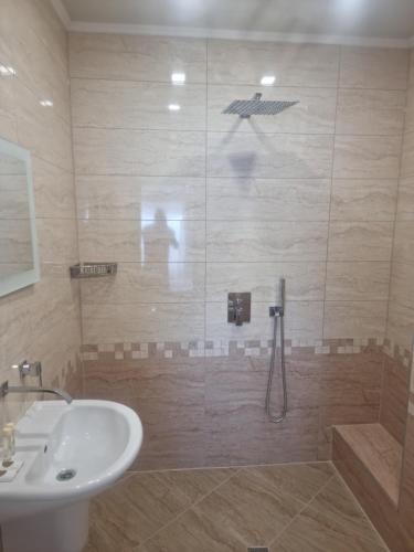 Family Hotel Alfa Vita - image 2
