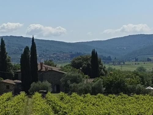 villa I Lecci nel chianti