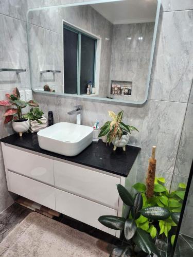 Bed & Breakfast @ Unsworth Heights Albany, Окленд (фото 8)
