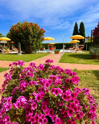  Podere Casalpiano in Campiglia Marittima