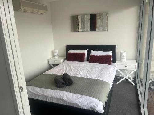 3br on Lonsdale St - Braddon - Canberra