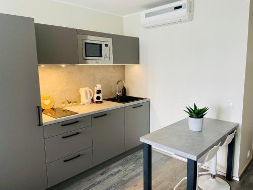 Apartement Aisa