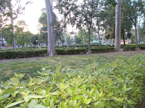 Hotel d'Azeglio Firenze - image 10