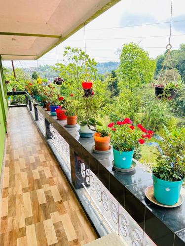 MIRIK HOMESTAY  photo 4