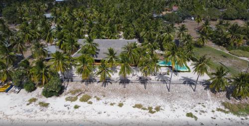 81 Palms Resort