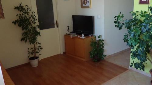 Apartment Bella, Split (photo 6)