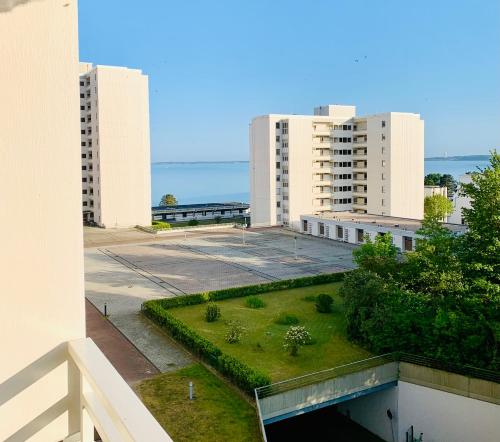 Ostseeschwalbe am Fahrenkrog in Sierksdorf