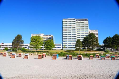 Ostseeschwalbe am Fahrenkrog in Sierksdorf