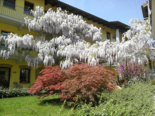 Agriturismo Tra Serra E Lago