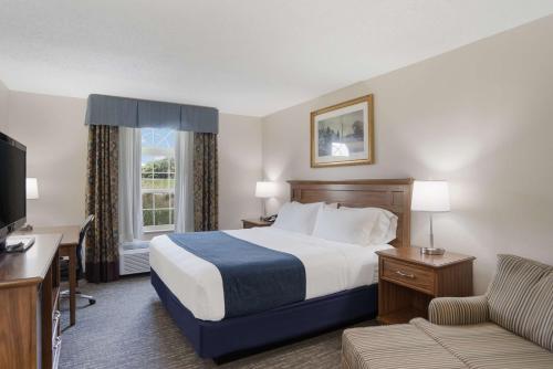 King Room