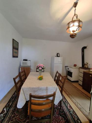 Nature Escape Montenegro in Kotor