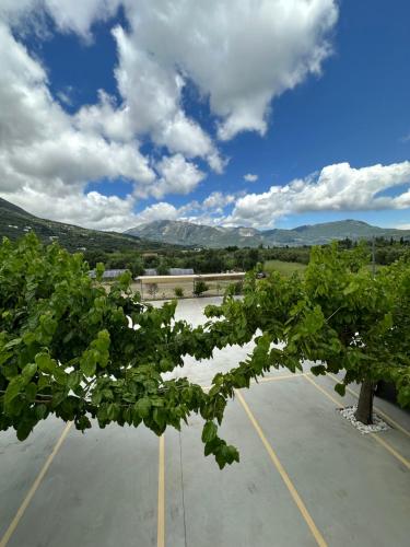 Hotel Odyssion - image 12