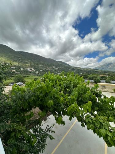 Hotel Odyssion - image 7