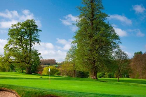 Tudor Park Marriott Hotel & Country Club - image 6