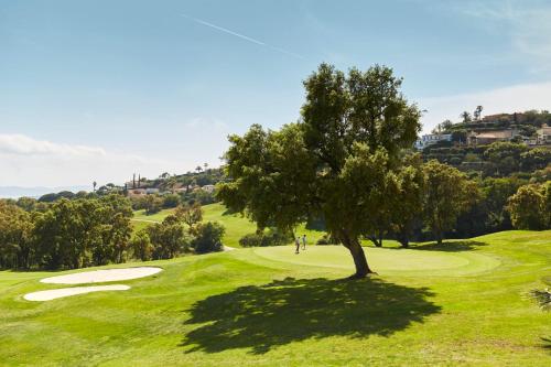 Front de mer Golfe de Saint-Tropez