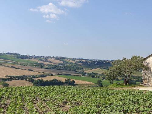 Casa Borgo Fonte