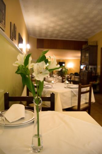 Hotel Brisa - image 11