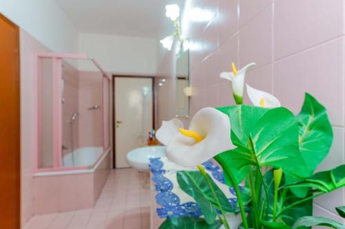 Bed&Breakfast Dolce Vita - image 3