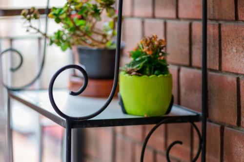Bed and Breakfast Dolce Vita Bologna – Bologna, KY