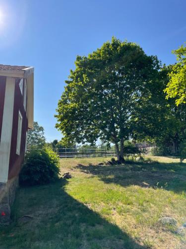 Cottage with beautiful nature, open landscape, forest and lakes I X I Stuga med fin natur, öppna landskap, skog och sjöar