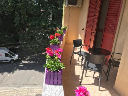 Maison Centre, Shkodër (foto 4)