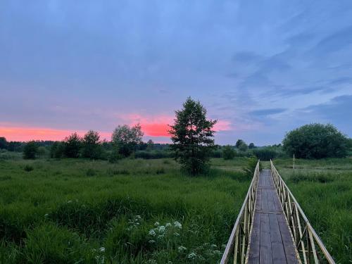 Вид, Domki Skandynawskie nad Pilicą, Biała Góra, mazowieckie (Domki Skandynawskie nad Pilica, Biala Gora, mazowieckie) in Брзецке