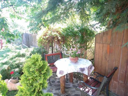 Garden, Greti Apartman in Sarospatak