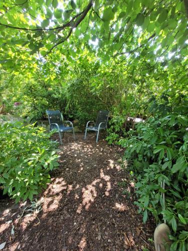 花園, Ferienwohnung Riesling in 山區博本海姆