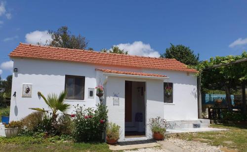 The Cottage near the lake - Chalet - Pedrógão Grande