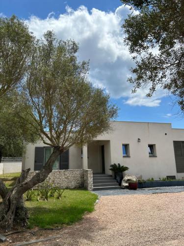 La villa Serena - Location, gîte - Bonifacio