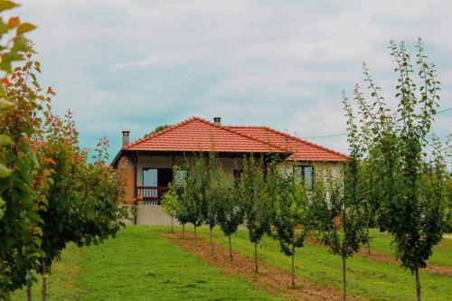 Villa Sladjana - Accommodation - Mladenovac