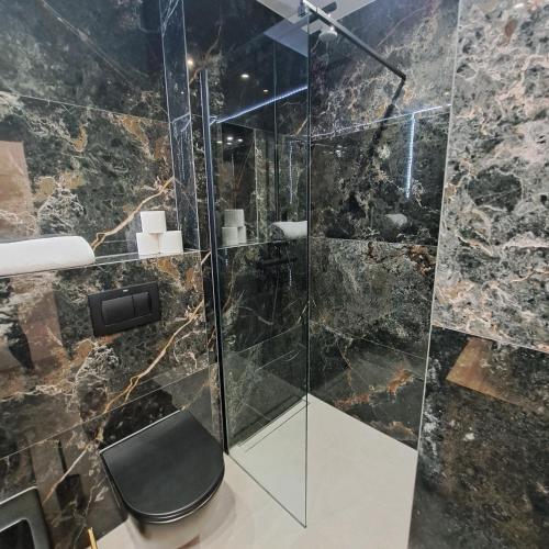 Apartament Silver, Szklarska Poręba (foto 9)