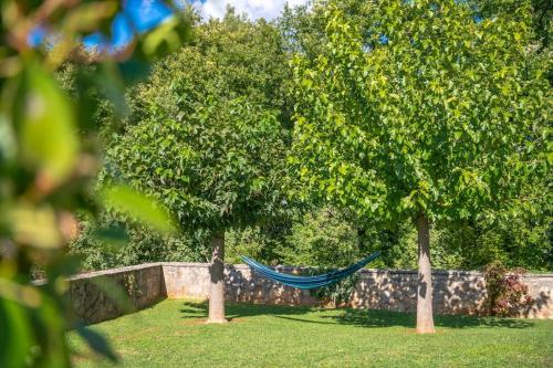 Villa Lunaria - Istrian Villa with pool