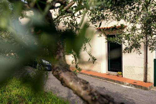 入口, 多納蒂納達旅館 (Affittacamere Donati Nada) in 卡爾米尼亞諾