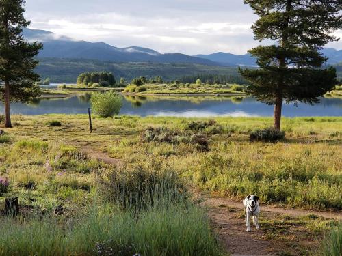 Lovely Mountain condo, remote workspace, 2 kayaks next to Lake Dillon