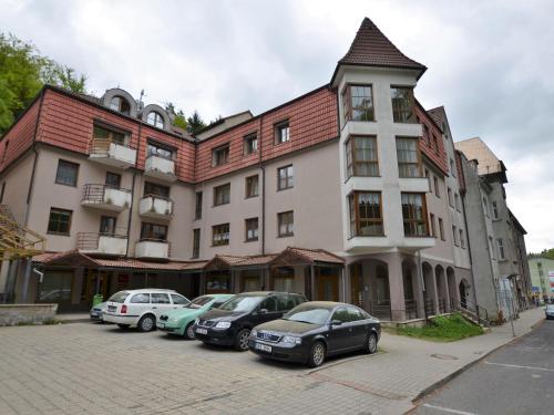 Snug Apartment in Jachymov near Ski area