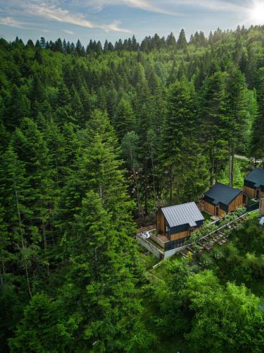 Norway Cabins - Sinaia