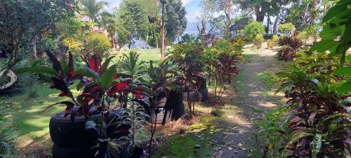 薄荷岛拉霍潜水度假村