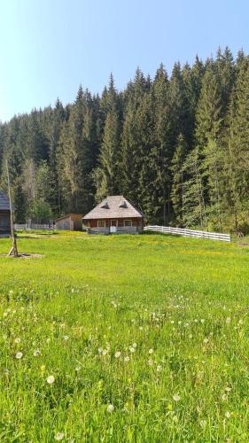 Apkārtne, Cabana Păstrăvului (Cabana Pastravului) in Moldova - Sulița