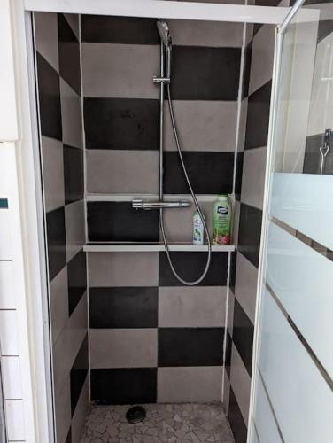 appartement plein centre Saint die des Vosges- proximité gare- proche Gérardmer (appartement plein centre Saint die des Vosges- proximite gare- proche Gerardmer) in แซ็ง-เด-เด-โวฌ